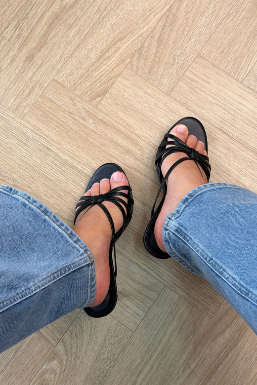 Bloom - Sweet Pea Stiletto - Black Stiletter 