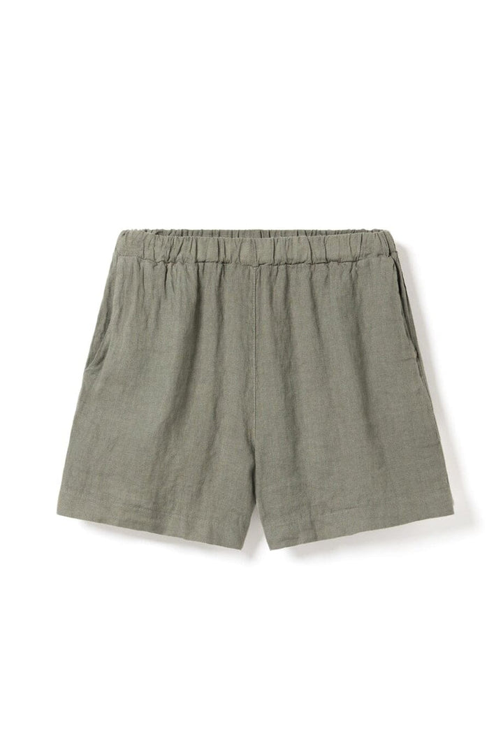 Noella - Layne Shorts 14700003 - 1468 - Green Leaf Shorts 