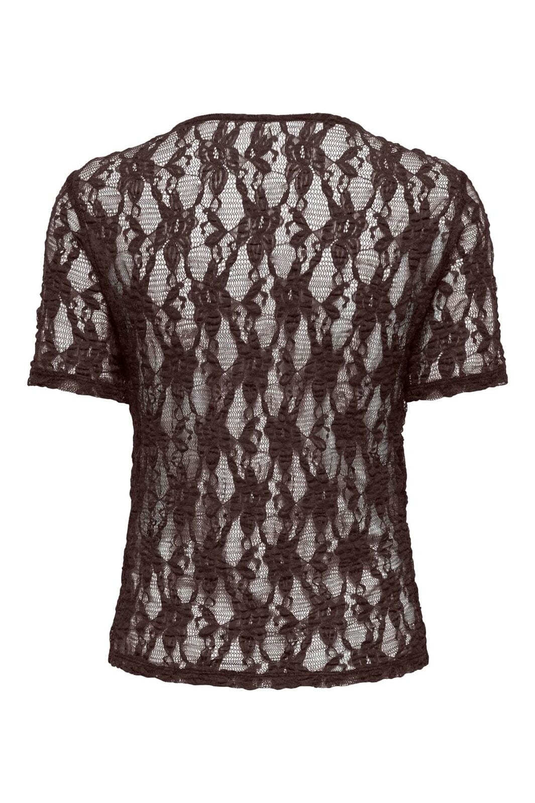 Only - Onlalba S/S Lace Top - 5170296 Seal Brown